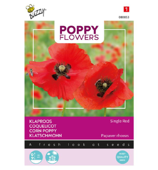 Samen - POPPY MOHN 'SINGLE RED'