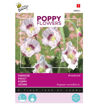 Samen - POPPY MOHN BREADSEED