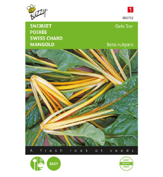 Samen - MANGOLD CHARD YELLOW.