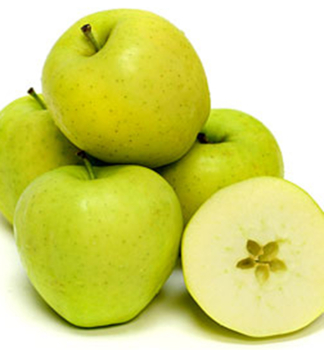 Apfel GOLDEN DELICIOUS Unterlage MM106, wurzelnackt