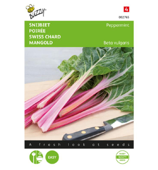 Samen - MANGOLD CHARD PEPPERMINT