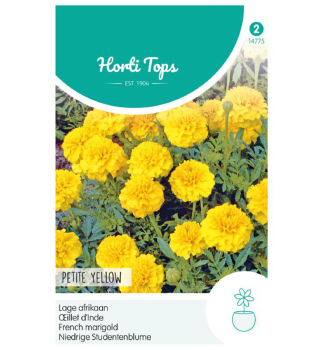 Samen - STUDENTENBLUME PETITE YELLOW