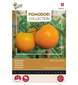 Samen - POMODORI TOMATE 'ZLOTY OZAROWSKI'/ARANCIA/