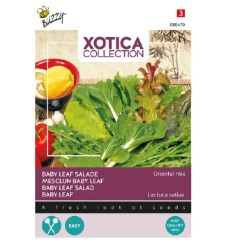 Samen - XOTICA SALAT ORIENTAL MIX