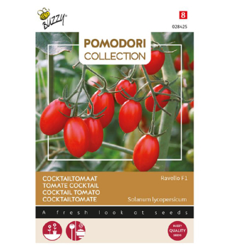 Samen - POMODORI TOMATE RAVELLO F1