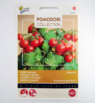 Samen - POMODORI KIRSCHTOMATEN MICRO TOM F1