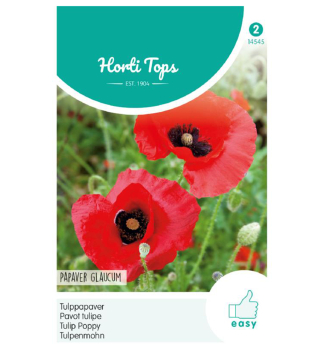 Samen - TRKISCHER MOHN