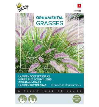 Samen - ORNAMENTAL LAMPENPUTZERGRAS FOUNTAIN GRASS