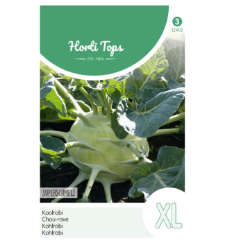 Samen - KOHLRABI 'GIANT WHITE'