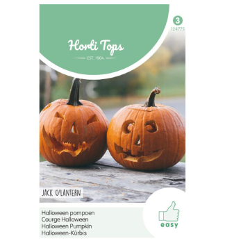 Samen - KRBIS 'JACK O LANTERN'