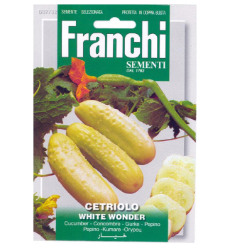 Samen - GURKE WHITE WONDER